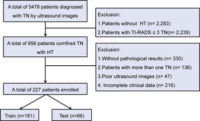 Radiomics-based ultrasound models for thyroid nodule differentiation in Hashimoto’s thyroiditis